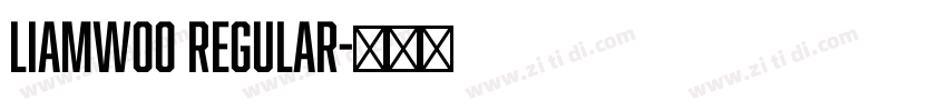 LiamW00 Regular字体转换